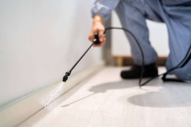 Licensed Termite Control service in Wyoming, IL - Nex Pest Control