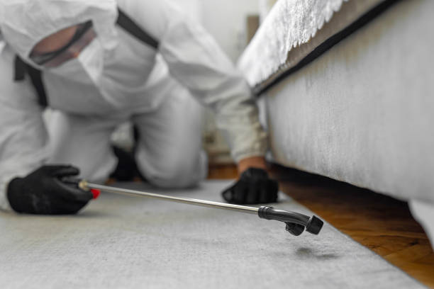 Professional Termite Control technician working in Wyoming, IL