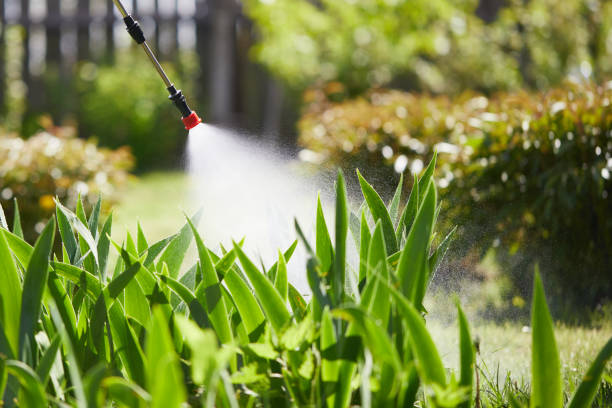 24/7 Emergency Termite Control experts in Wyoming, IL
