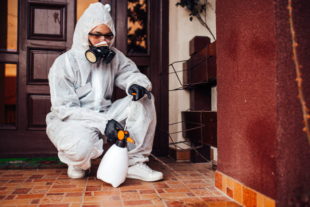 Reliable Termite Control contractor in Wyoming, IL by Nex Pest Control