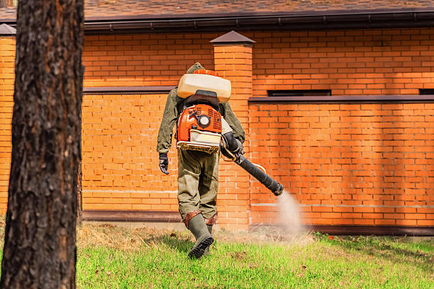 Top rated local Termite Control specialists in Wyoming, IL